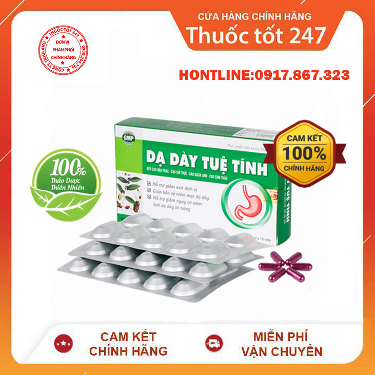 Dạ Dày Tuệ Tĩnh Chính Hạng