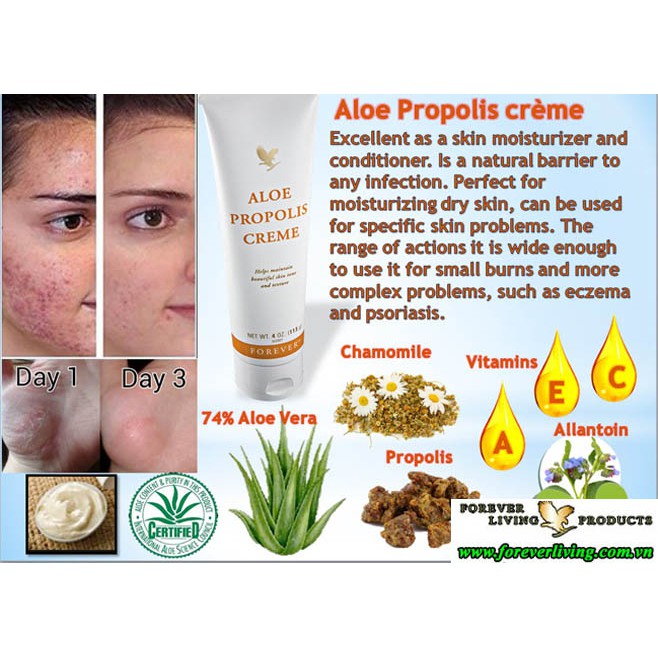 Kem Dưỡng Da Mụn Aloe Propolis Creme - 051Flp