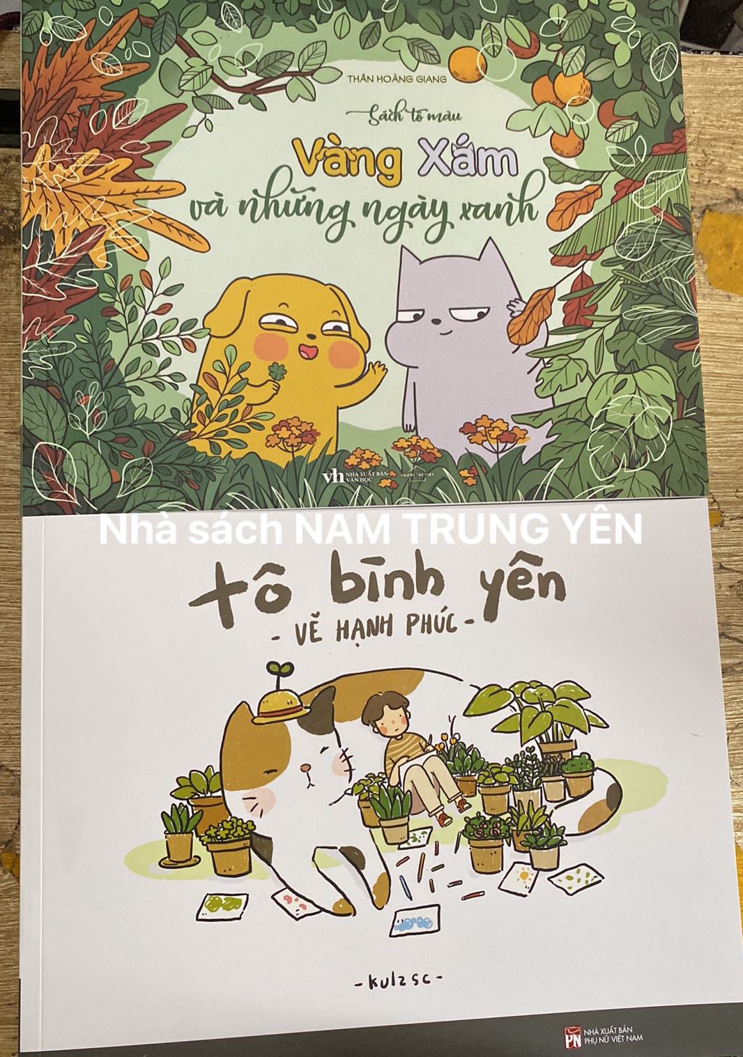 Sách Tô Màu - Vàng Xám và những ngày xanh + Tô bình yên vẽ hạnh phúc (COMBO/LẺ)