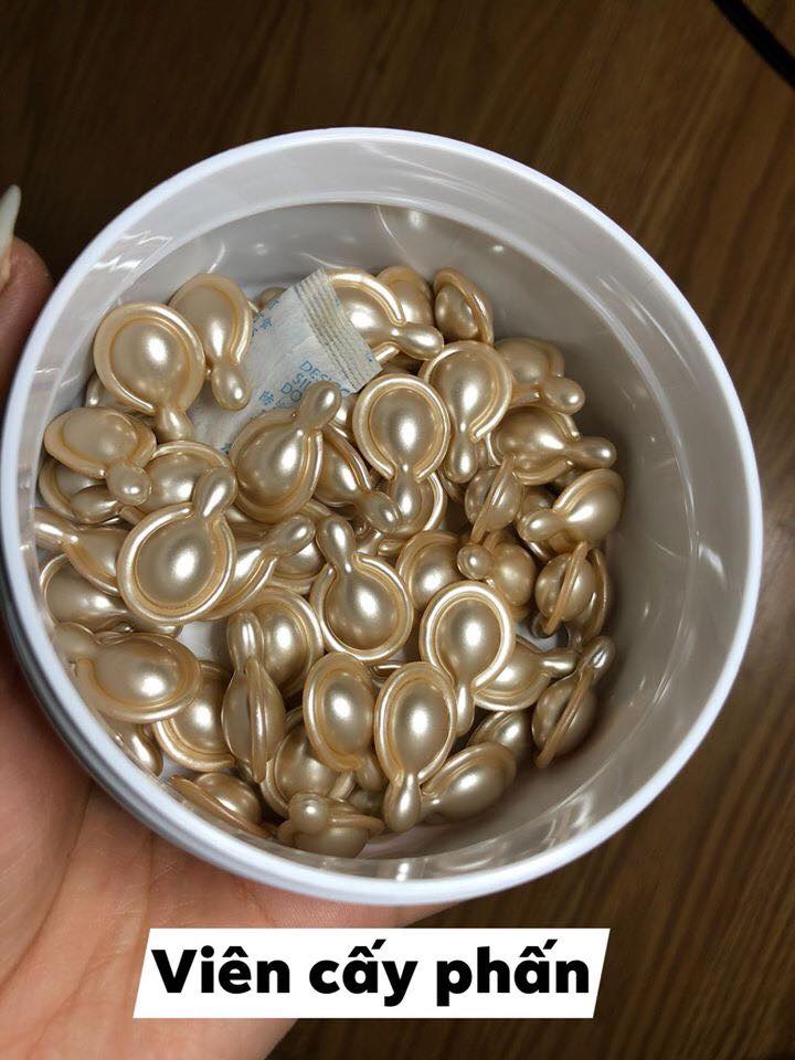 Viên phôi cấy phấn