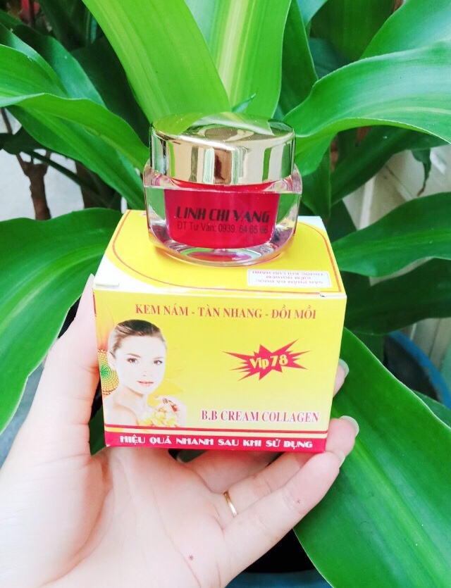 [HCM]KEM NÁM TÀN NHANG ĐỒI MỒI LINH CHI VÀNG 15G