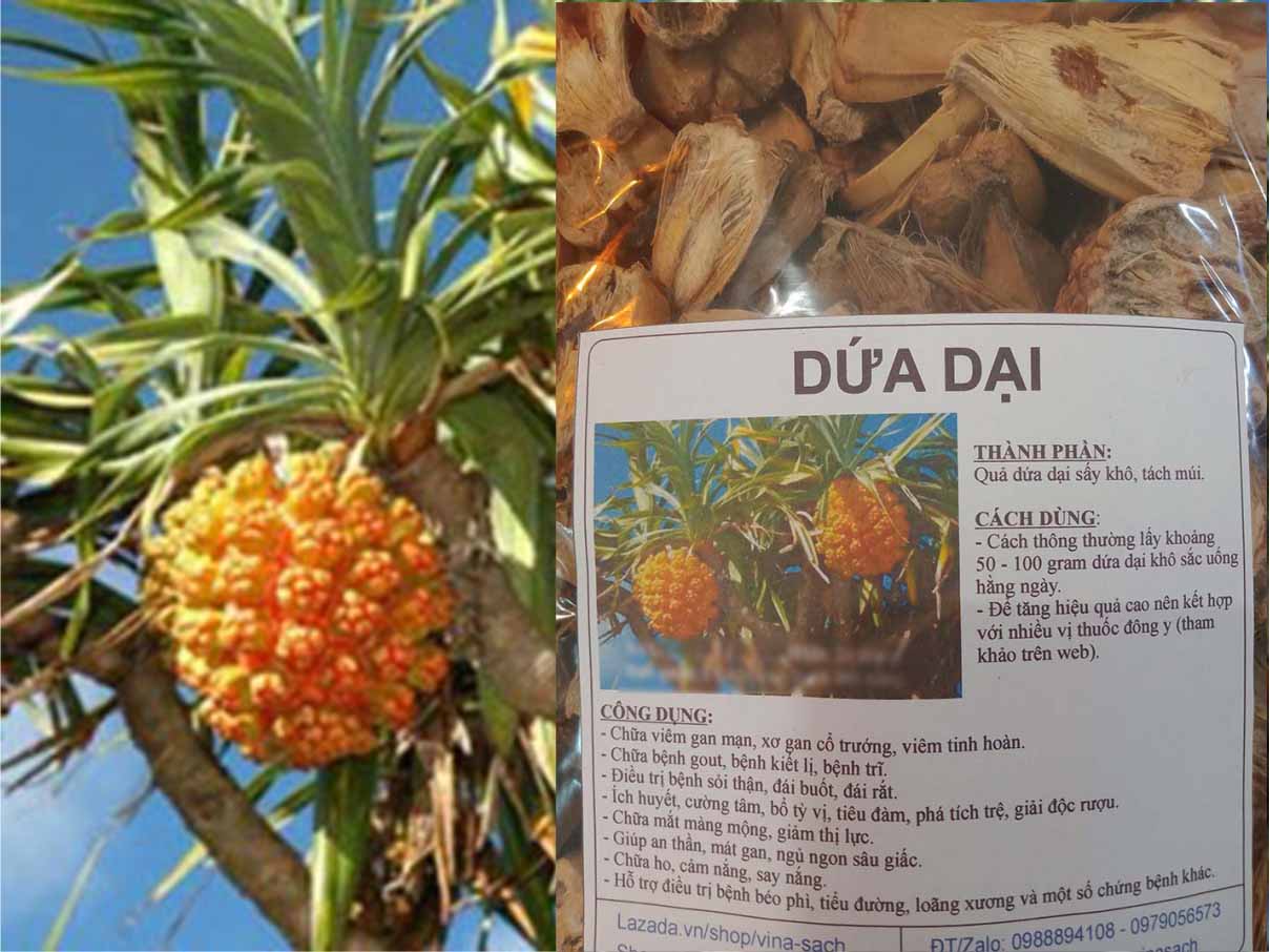 Dứa Dại (500G)