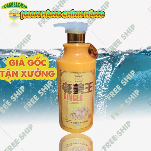 Dầu Gội Đầu Tinh Chất Gừng Cao Cấp