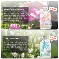 Tinh Dầu Thơm Phòng VaromaS Lọ Khuếch Tán Phát Sáng Ban Đêm Decor Phòng KT09 100ml