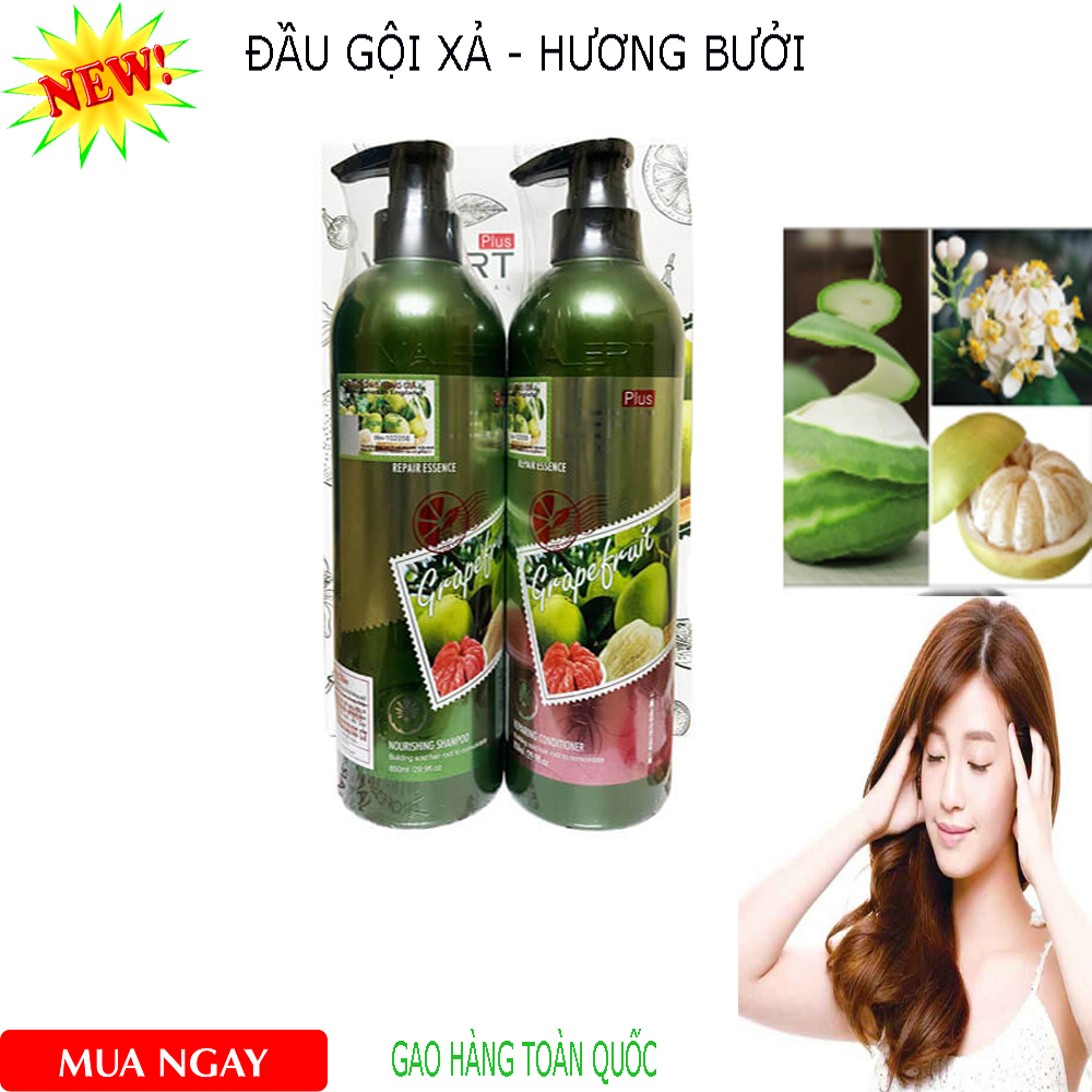 Cặp Gội Xả Bưởi Grapefruit Plus 850Ml Dầu Gội Đầu Dầu Xả Tinh Chất Bưởi. Ngăn Ngừa Rụng Tóc Và Nấm Ngứa Da Đầu Kích Thích Mọc Tóc Phục Hồi Tóc Hư Tổn. Bảo Hành Toàn Quốc