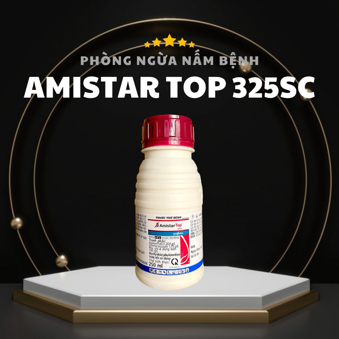 Thuốc trừ bệnh Amistar Top 325SC chai 250ml chính hãng Syngenta