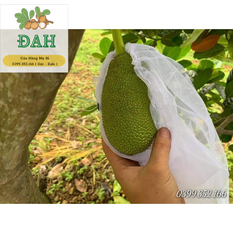 50 CÁI TÚI LƯỚI TỐT BAO BỌC TRÁI MÍT THÁI KÍCH THƯỚC 50x70CM - TÚI BỌC TRÁI CÂY