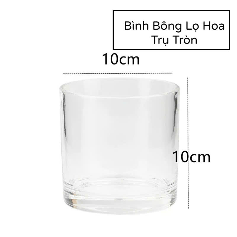 Bình Thuỷ Tinh Hình Trụ Tròn Nhiều Kích Thước Φ 10Cm Dùng Cắm Hoa - Trồng Cây - Nuôi Cá