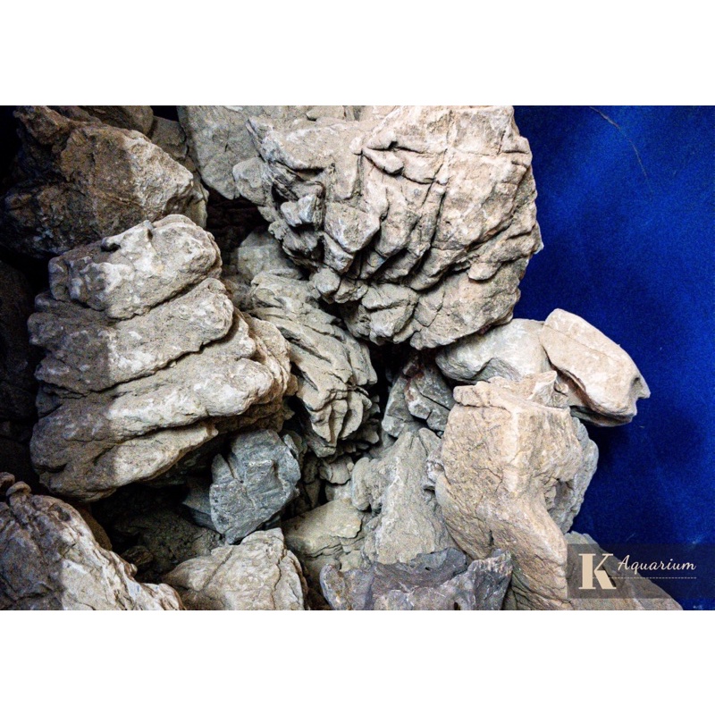 Đá Da Voi (1KG) | Trang trí Thủy Sinh Biotope Iwagumi....|