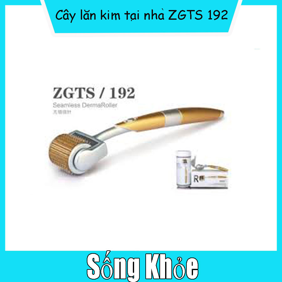 [Hcm]Kim Lăn Zgts 192 Đầu Kim Dài 0.25 0.5 0.75 1.0 1.5 2.0 Mm