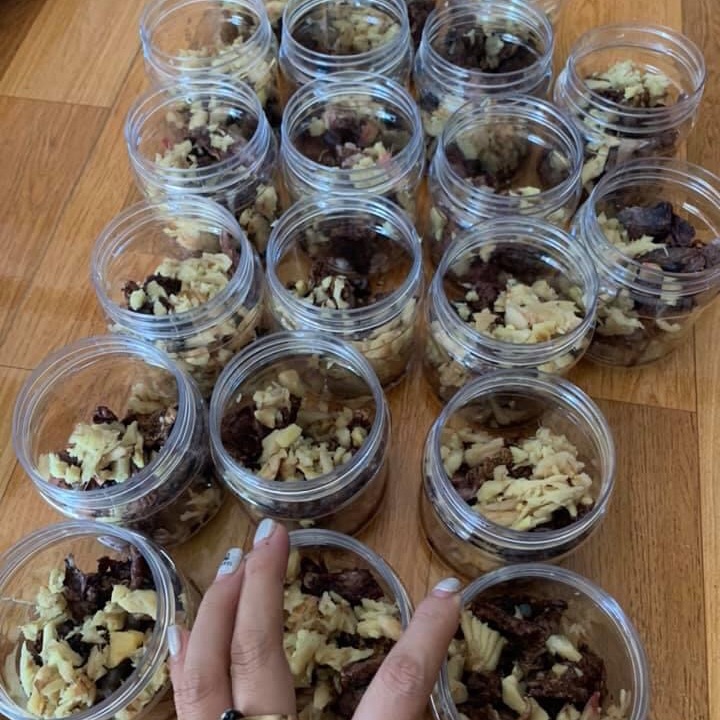 Phổi Ngựa Bạch