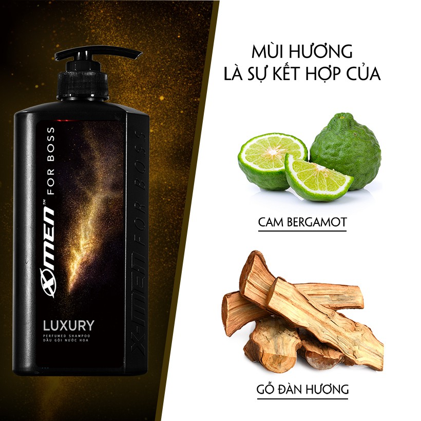 Dầu Gội Lưu Hương Nước Hoa X - Men For Boss Luxury (Vàng) 650G - Mỹ Phẩm Store Hàng Việt