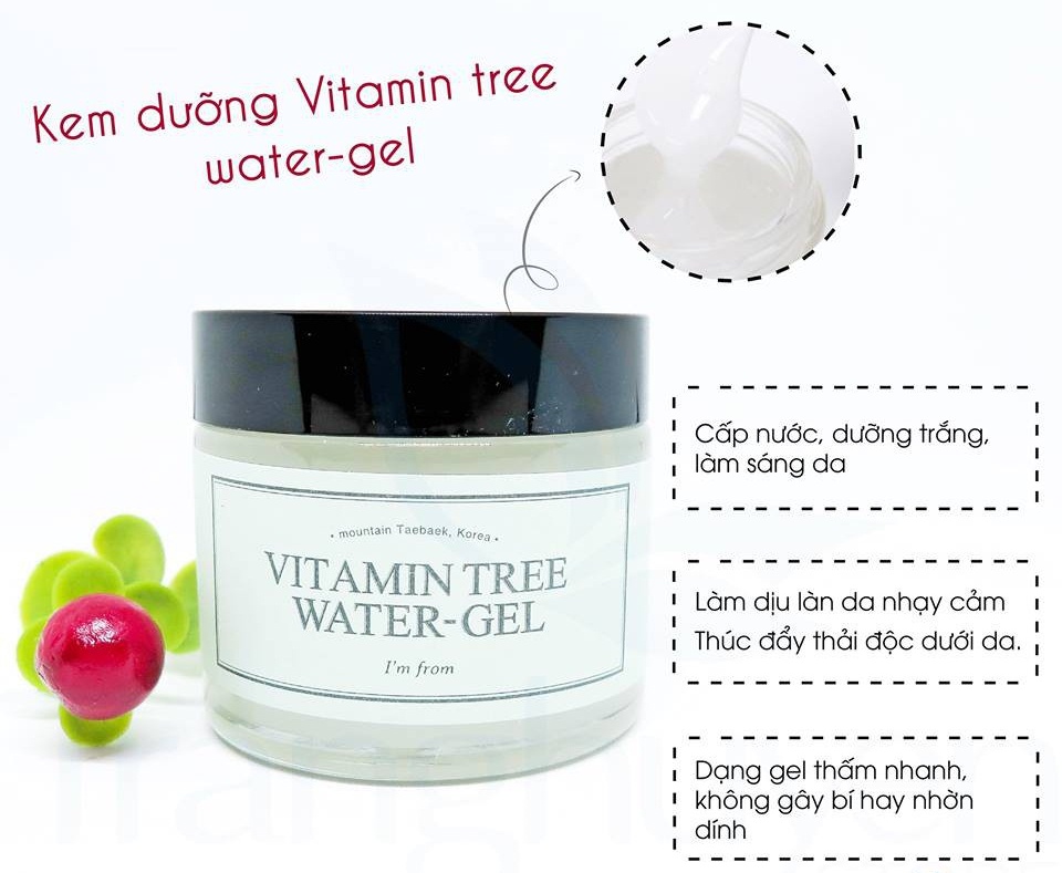 [Bao Bì Mới] Dưỡng Da I’m From Vitamin Tree Water Gel 75Ml