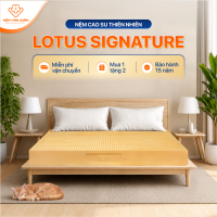 [HOẢ TỐC HCM] Nệm Cao Su Thiên Nhiên Truyền Thống Vạn Xuân Lotus Signature Nguyên Khối Nâng Đỡ Cơ Thể