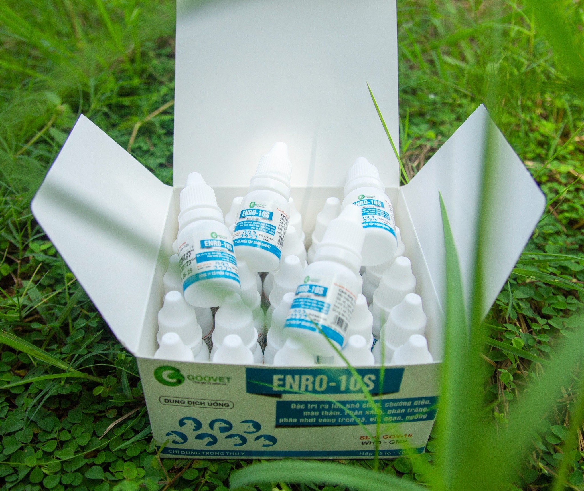 ENRO 10S - Đặc trị rù toi khô chân chướng diều mào thâm. Phân xanh phân trắng phân nhớt vàng.