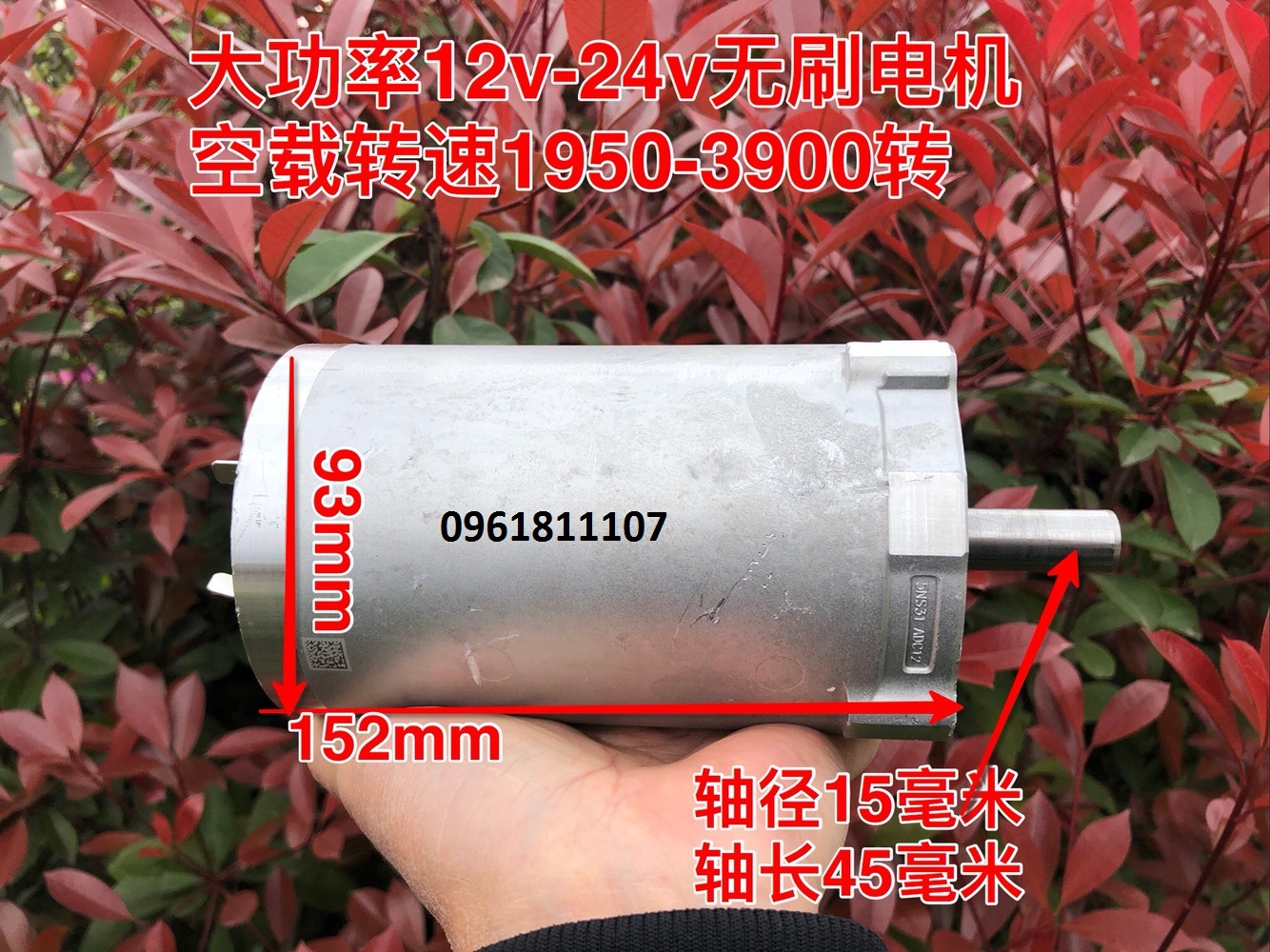 Motor không chổi than BLDC Brushless 12V 24V 1000W 2000W motor không chổi than motor brushless động 