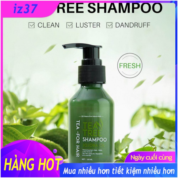 Tea Tree Shampoo Anti Dandruff Shampoo Anti-itchy Hair Shampoo Oil Control Refreshing Shampoo