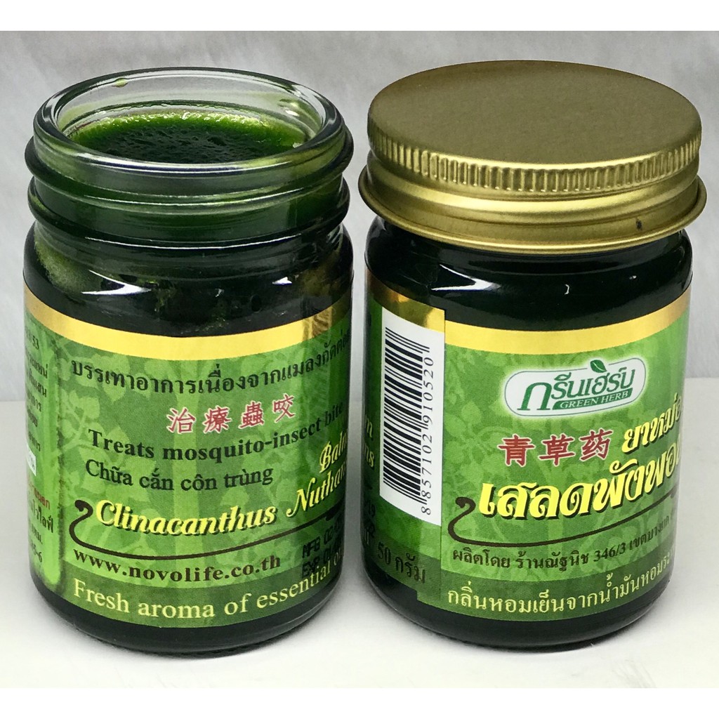 01 Hủ Dầu Cù Là Thơm Clinacanthus Nuthans Thái Lan