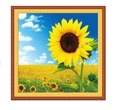 Tranh thêu Hoa Hướng Dương A726 kích thước 56 x 56 cm