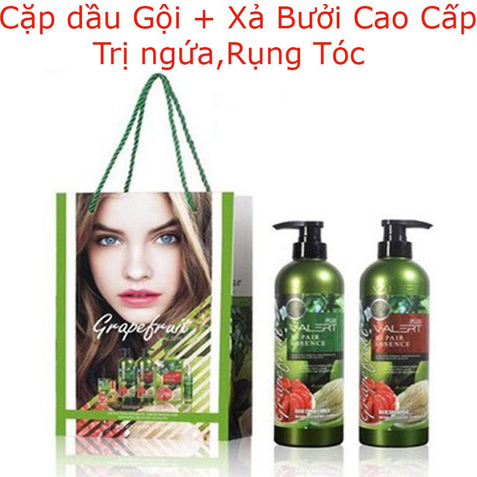 Cặp Dầu Gội + Xả Bưởi cao cấp ngăn ngừa gàurụng tóc