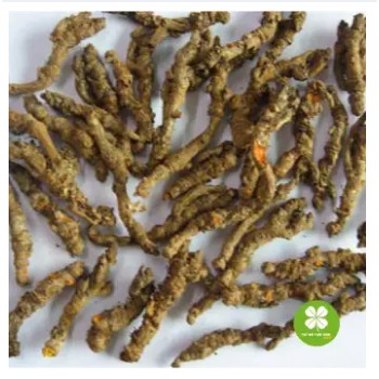 Hoàng Liên Sấy Khô 100Gram - Eg081