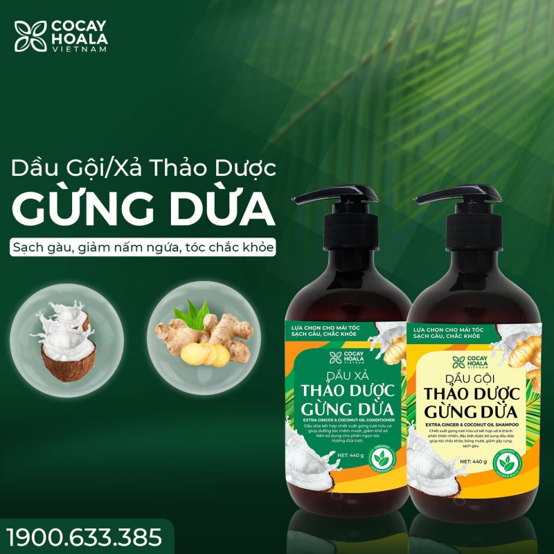 [Hcm]Combo Dầu Gội Xả Thảo Dược Gừng Dừa Hữu Cơ Cỏ Cây Hoa Lá Làm Sạch Da Đầu Hỗ Trợ Giảm Ngứa Hiệu Quả Dưỡng Tóc Mềm Mượt