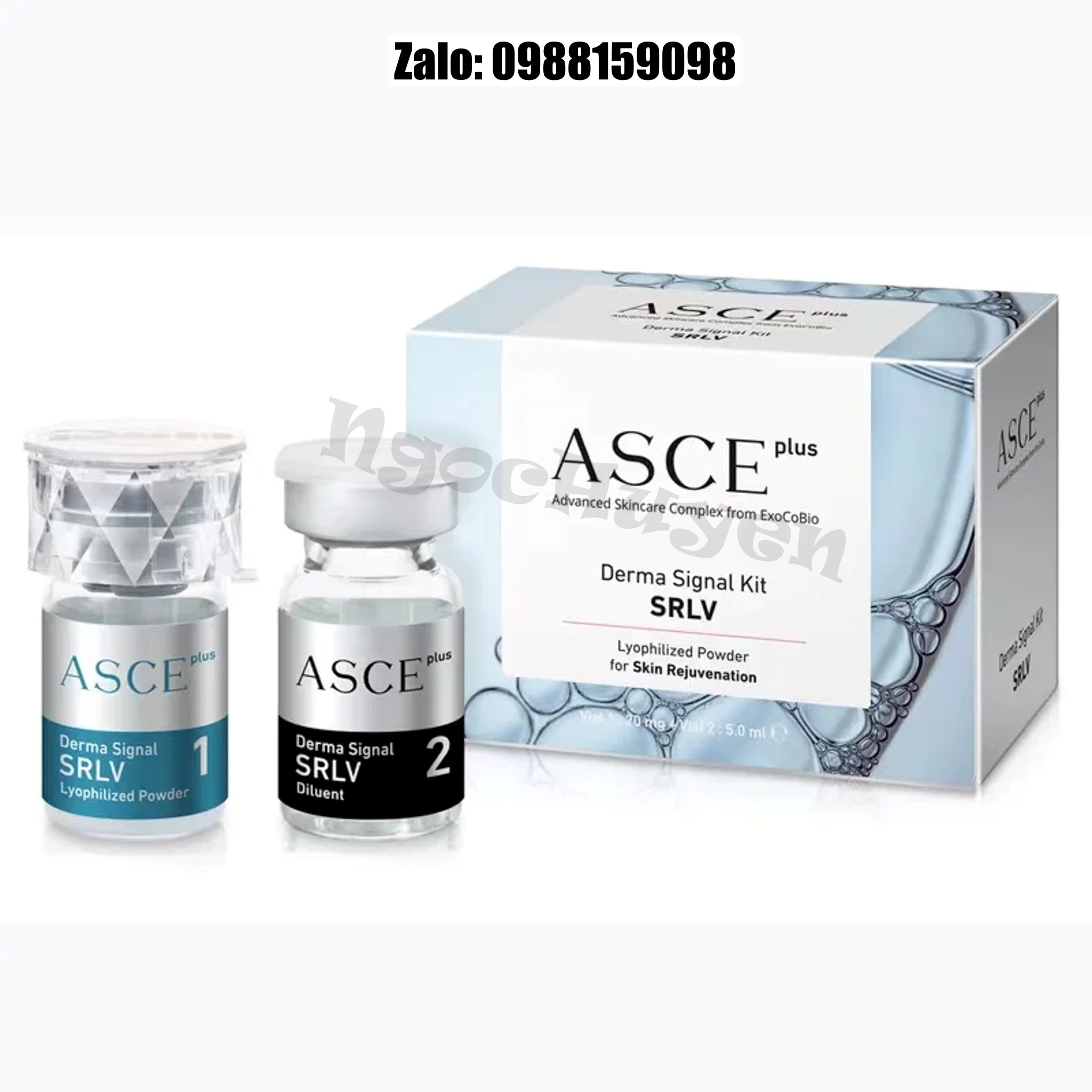 Tinh chất căng bóng da tiêm meso (EXOSOME) ASCE plus Cho Trẻ Hoá Da - 1 cặp