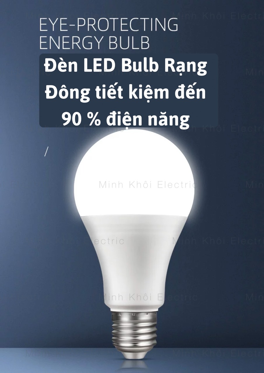 bóng đèn led rạng đông bảo hành 12 Tháng