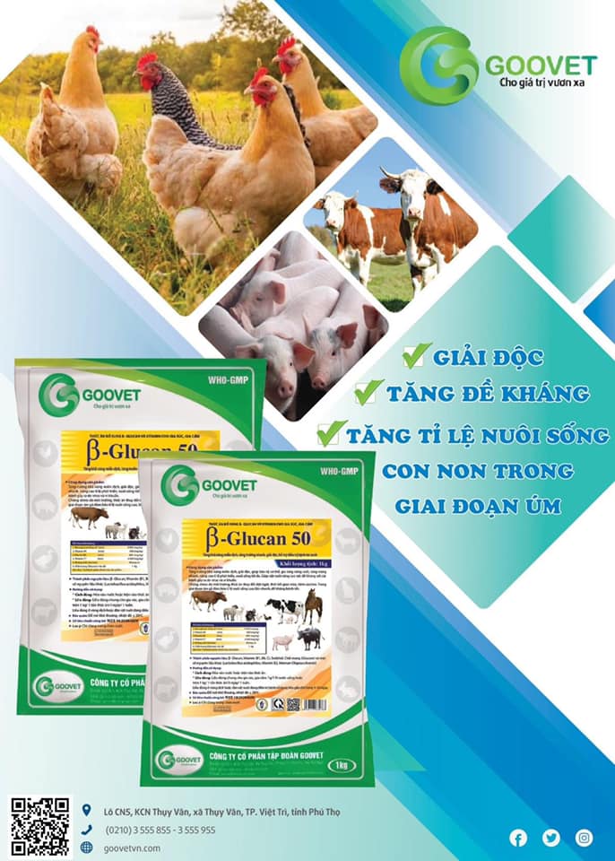 Kích Thích Miễn Dịch B - GLUCAN 50% 1kg Tăng Khả Năng Miễn Dịch Tăng Trưởng Nhanh Giải Độc Hỗ Trợ Đi