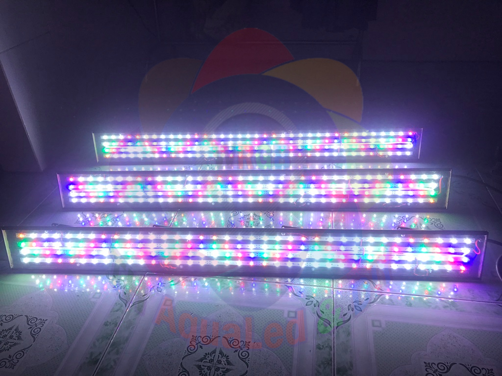 Đèn LED W106 Full bộ đèn LED WRGB Luxeon DIY cho cá cảnh thủy sinh. Có thể thiết kế theo yêu cầu khá