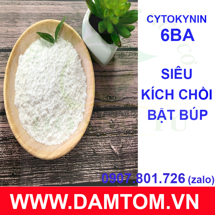 Cytokinin - 6BA 99% (Siêu kích chồi bật búp) Gói 100gr - (gói 100g tặng kèm dung môi)