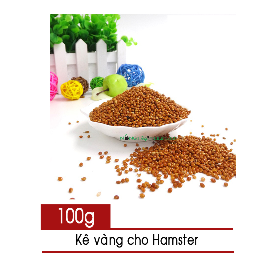 Hạt Kê vàng cho Hamster, Bọ, Hamster