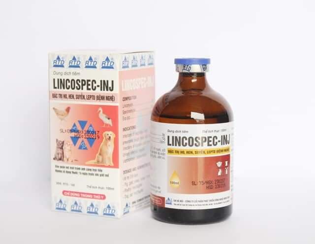 LINCOSPEC - INJ [ 100 ml ]  dùng gà khò khè - ủ rũ - phân xanh - tan máu bầm chống kén gà sau đá