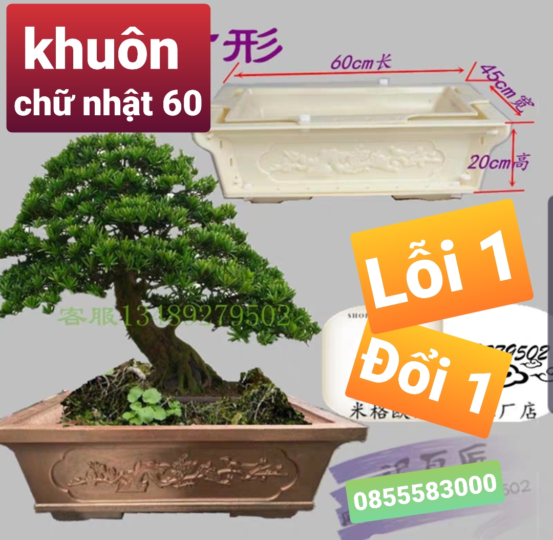 khuôn chậu cảnh hình chữ nhật 60 . khuôn chậu ABS có lòng trong