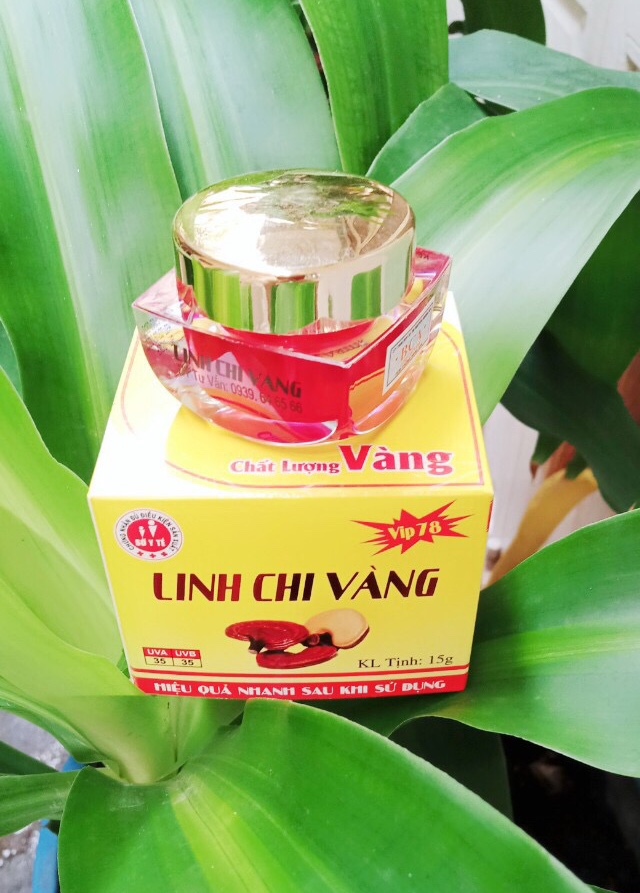 [HCM]KEM NÁM TÀN NHANG ĐỒI MỒI LINH CHI VÀNG 15G