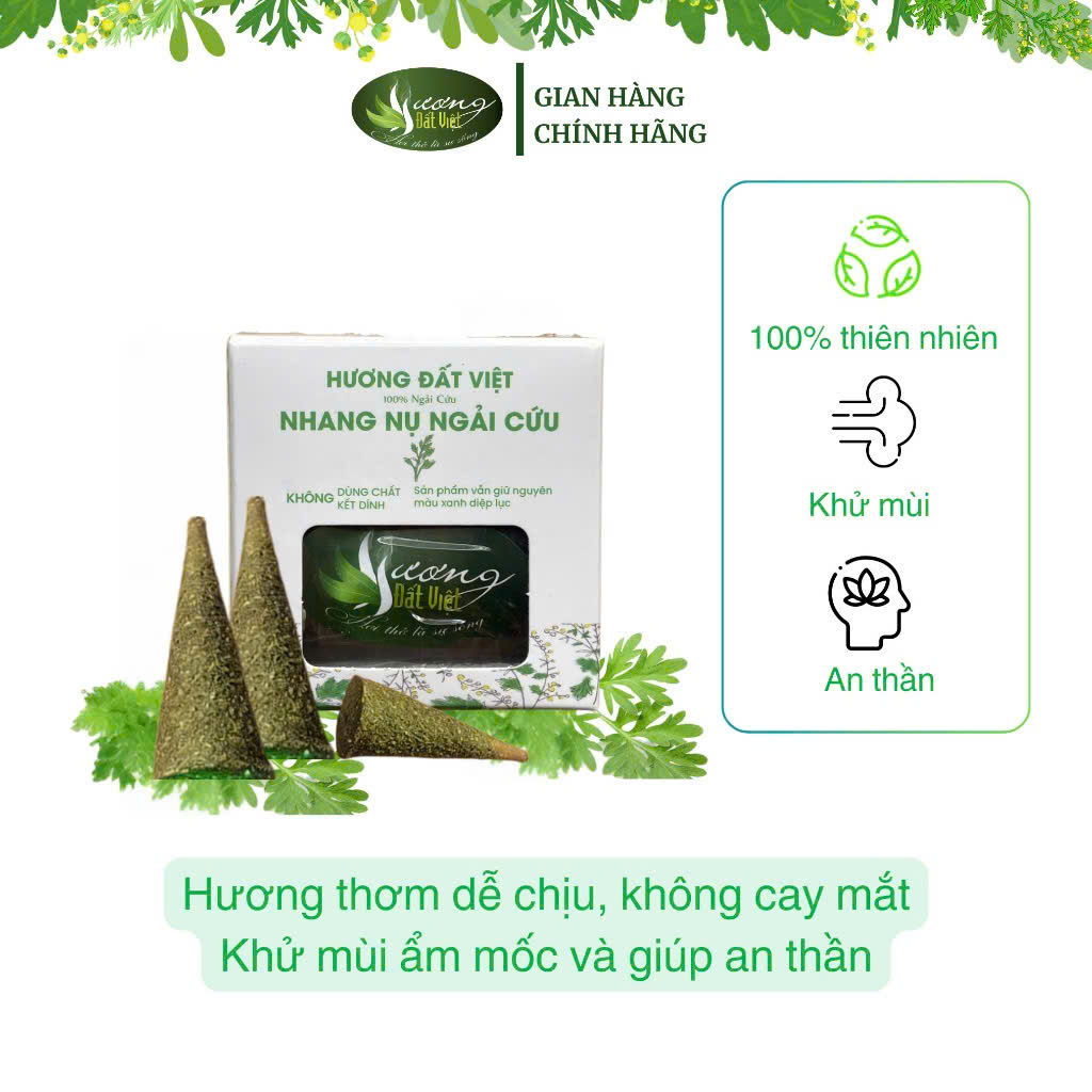 Nhang nụ Ngải cứu - Từ cây Ngải cứu tươi giúp khử mùi hôi phòng tẩy uế thữ giãn