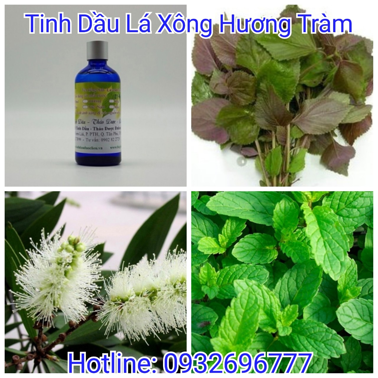 [Hcm]100Ml Tinh Dầu Xông Hương Tràm