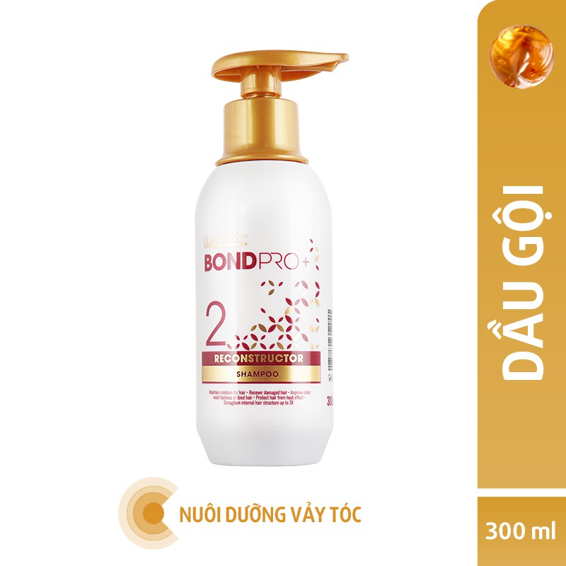 BỘ CHĂM SÓC TÓC CAO CẤP LAVOX BONDPRO + 300ML X3