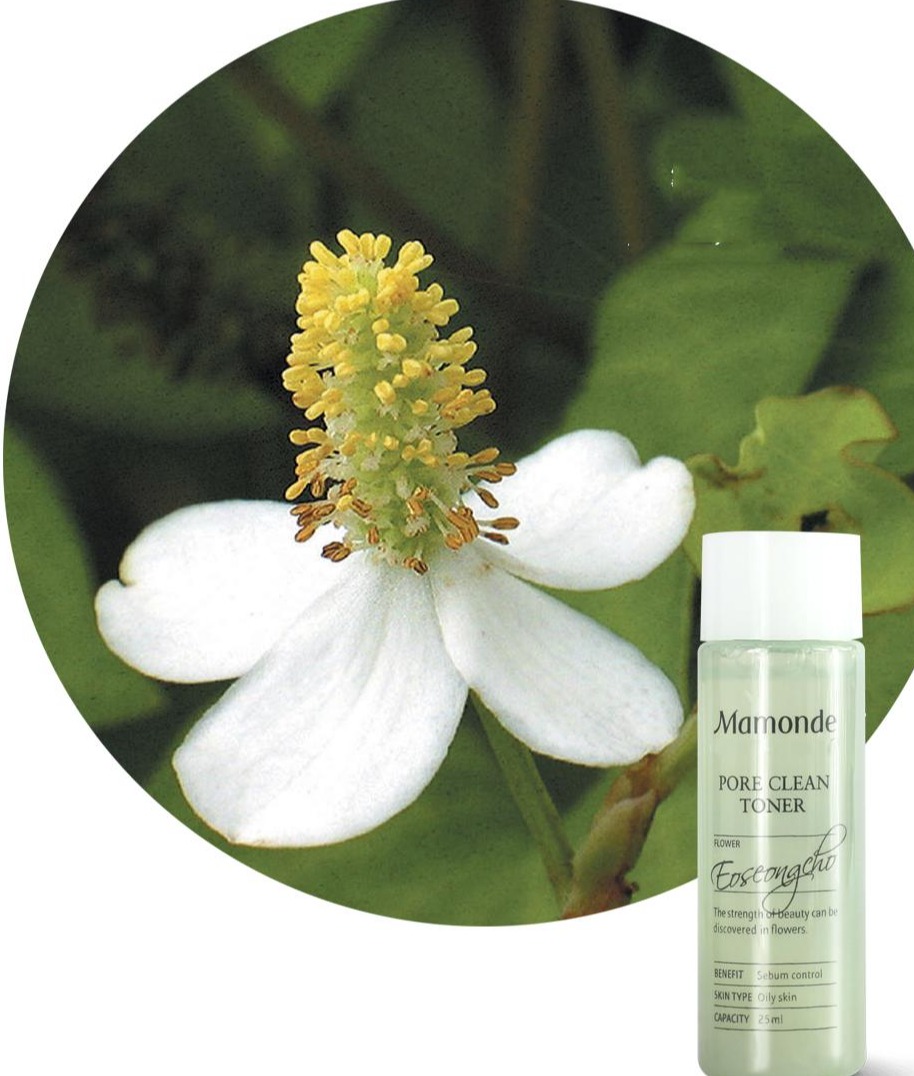 Nước Hoa Hồng Kiềm Dầu Se Khít Lỗ Chân Lông Mamonde Toner