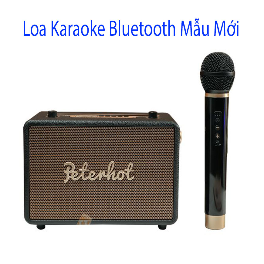[MẪU MỚI] Loa Kéo Karaoke Di Động Xách Tay Thế Hệ Mới - Loa karaoke Bluetooth PETERHOT A106 Kèm 1 Micro Có Quay Sách Hỗ Trợ USB Thẻ nhớ Cổng Micro 6.5 Đài FM Chất Âm Cực Chất Thiết kế Loa Bọc Da Sang Trọng