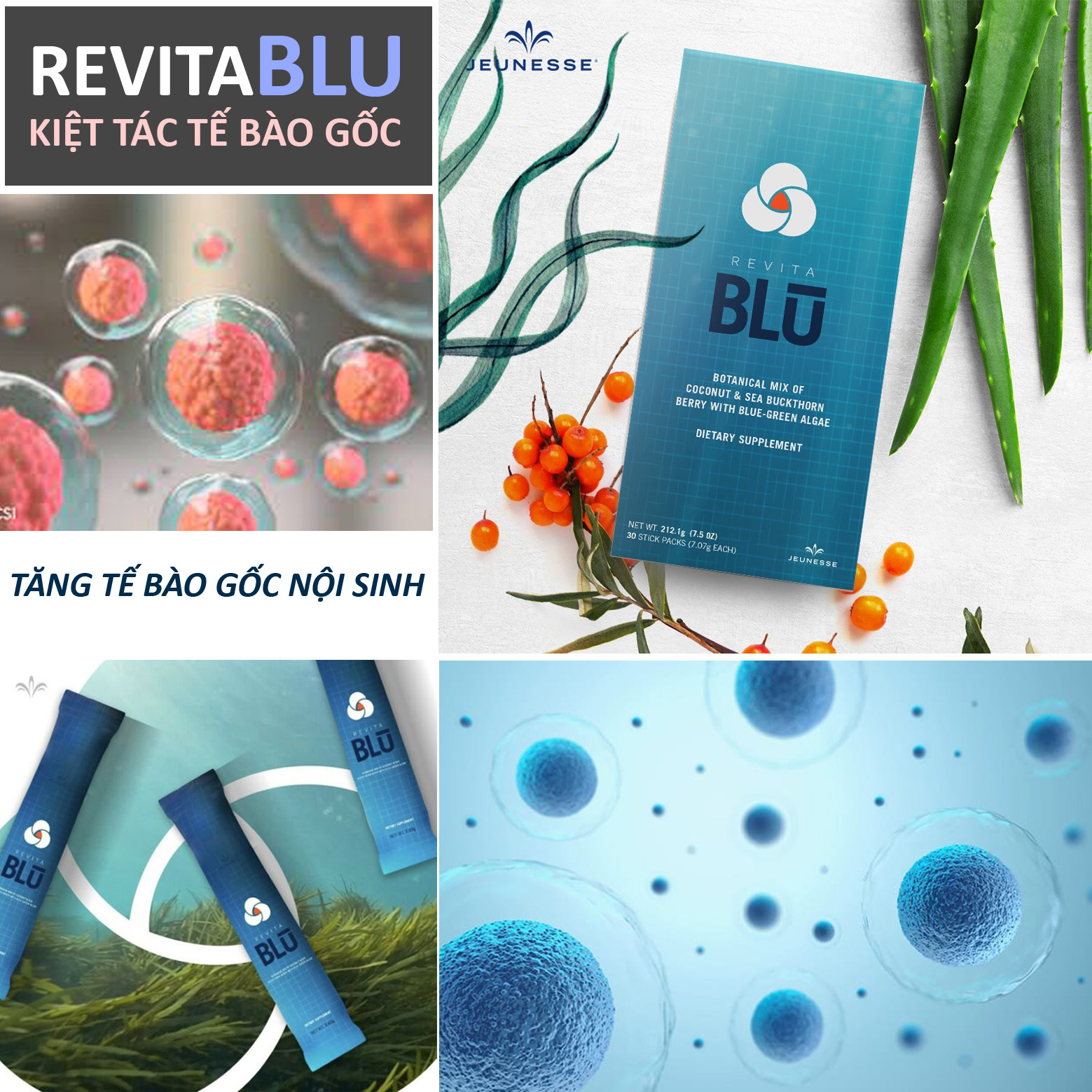 Revitablu Jeunesse [Mỹ] - Hỗ Trợ Tế Bào Gốc Tủy Xương