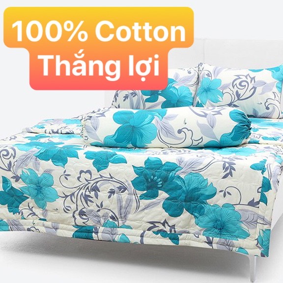 Bộ Drap Cotton Thắng Lợi Kèm Mền Chần Gòn -5 món {chuẩn logo CTY}