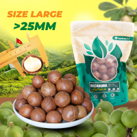 Hạt macca nứt vỏ TANU NUTS hạt mắc ca Tây Nguyên hạt ngũ cốc dinh dưỡng cho bà bầubé