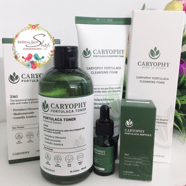 Bộ sản phẩm trị mụn CARYOPHY