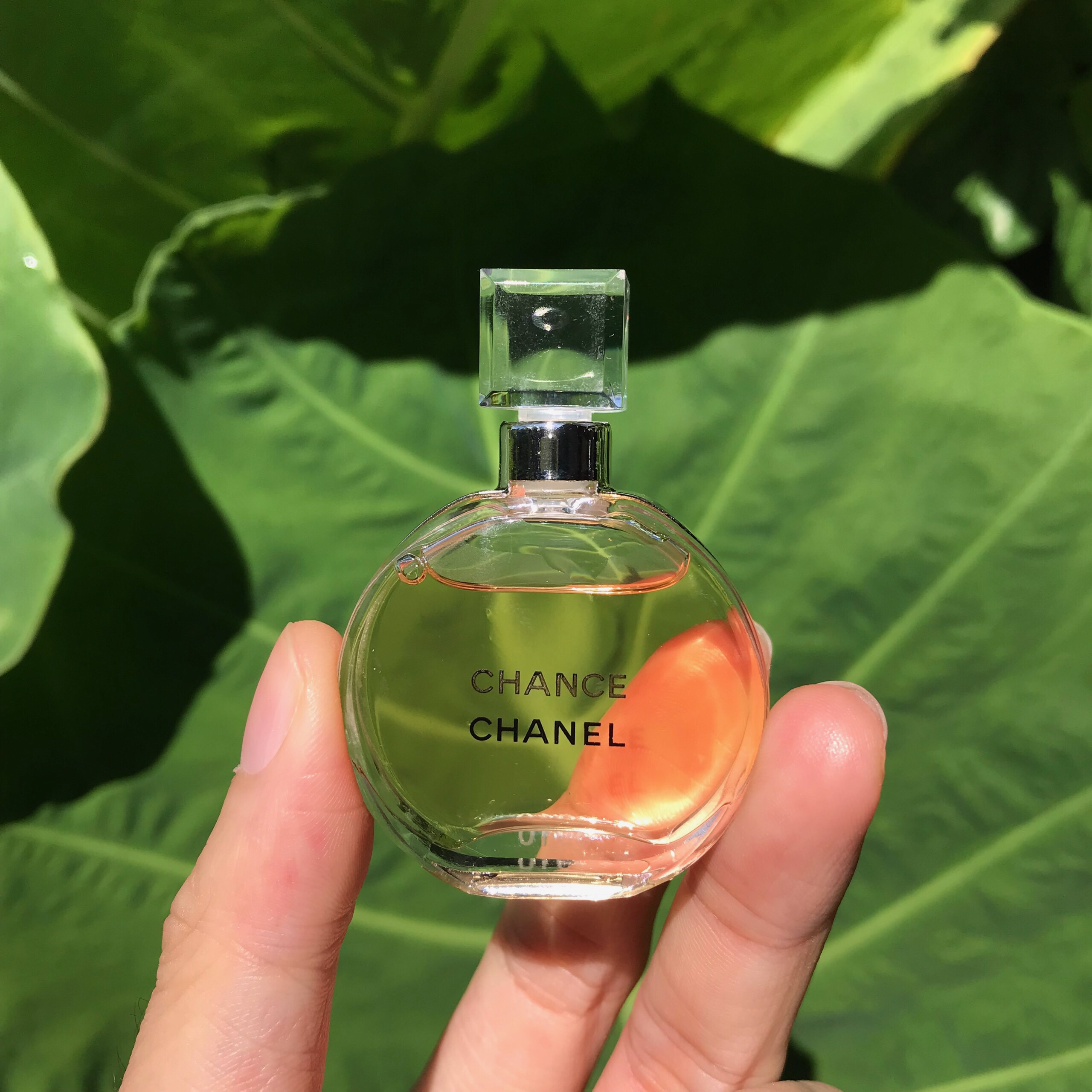 Chanel chance vàng