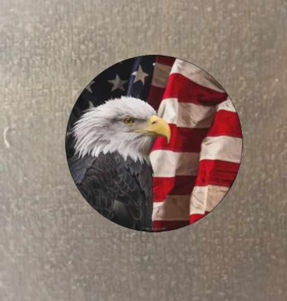 Logo Stiker ĐẠI BÀNG-EAGLE ủi áo trực tiếp tại nhà rất đẹp -IN LOGO THEO YÊU CẦU INBOX SHOP-ủi trực tiếp lên áo bằng bàn ủi/bàn là tại nhà rất đẹp.