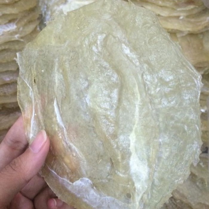 [ CỰC DÀY NGON NGỌT ]  Cá Bò Khô Ngon Rẻ To 2 Bàn Tay Vân Đồn - Quảng Ninh Y Hình