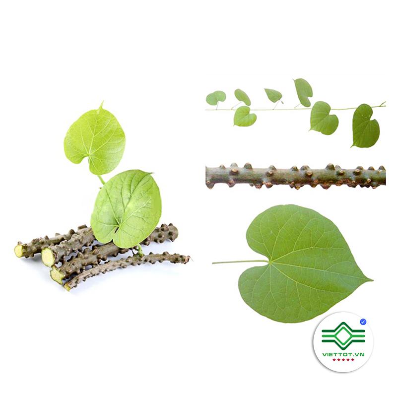 Cây Thần Thông Khô 1KG - VT120