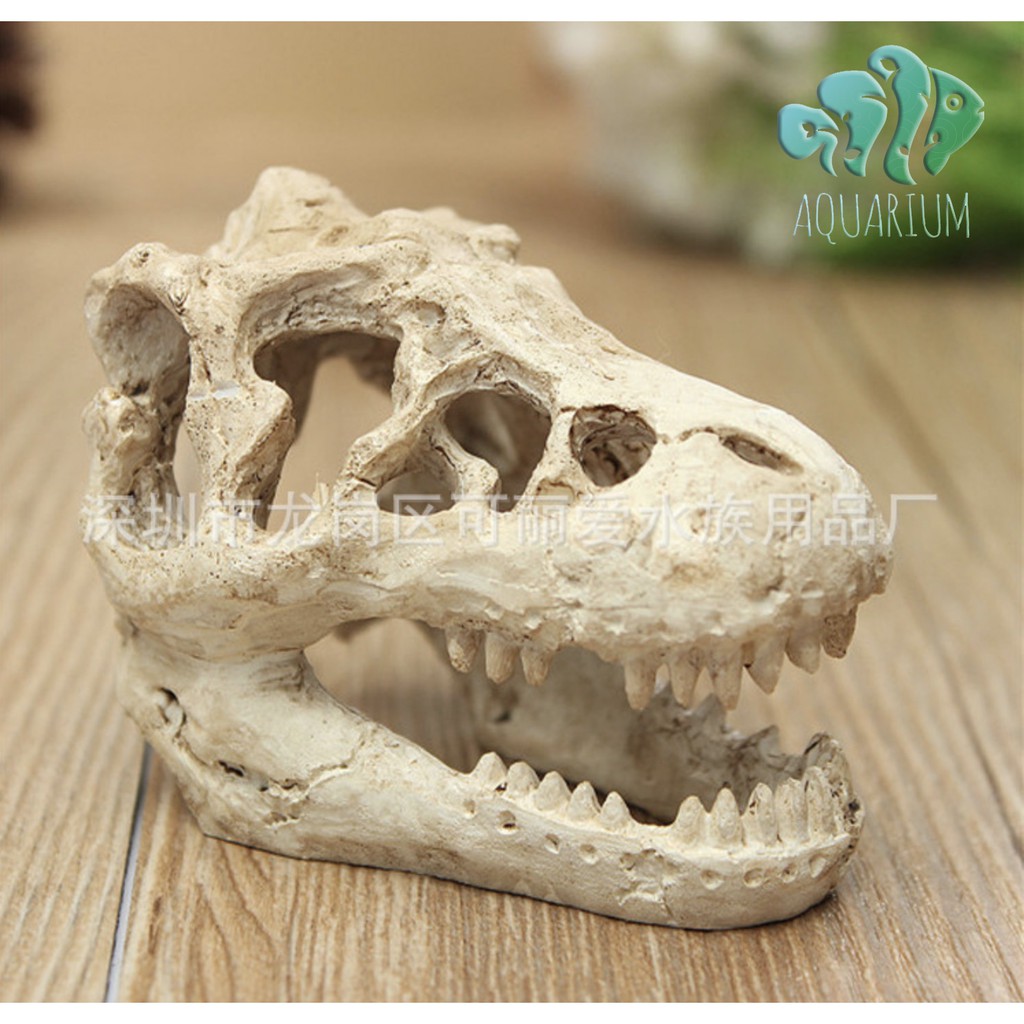 Xương khủng long trang trí bể cá bể thuỷ sinh