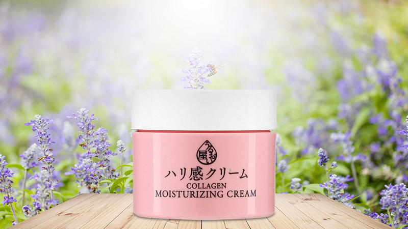 Kem Dưỡng Da Naris Collagen Moisturizing 48G